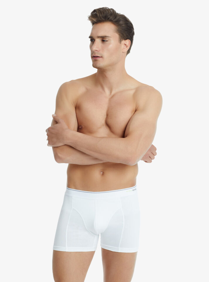 Erkek Pamuk Elastan Boxer Tender Cotton 9233