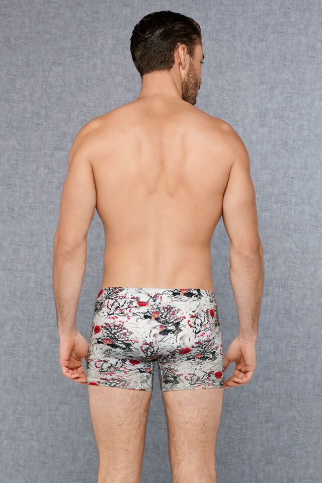 Doreanse 1808 Erkek Boxer