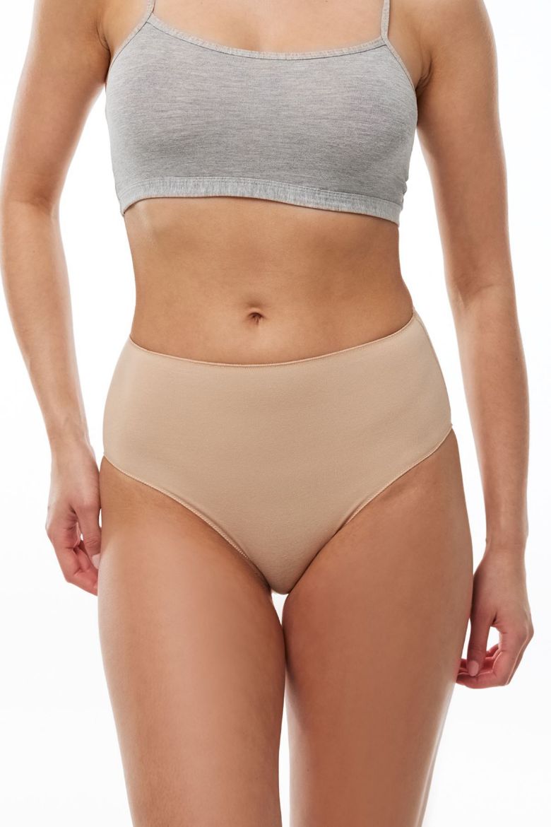 Malabadi 2'li Paket Modal Yüksek Bel Slip Külot 1955  Ten resmi