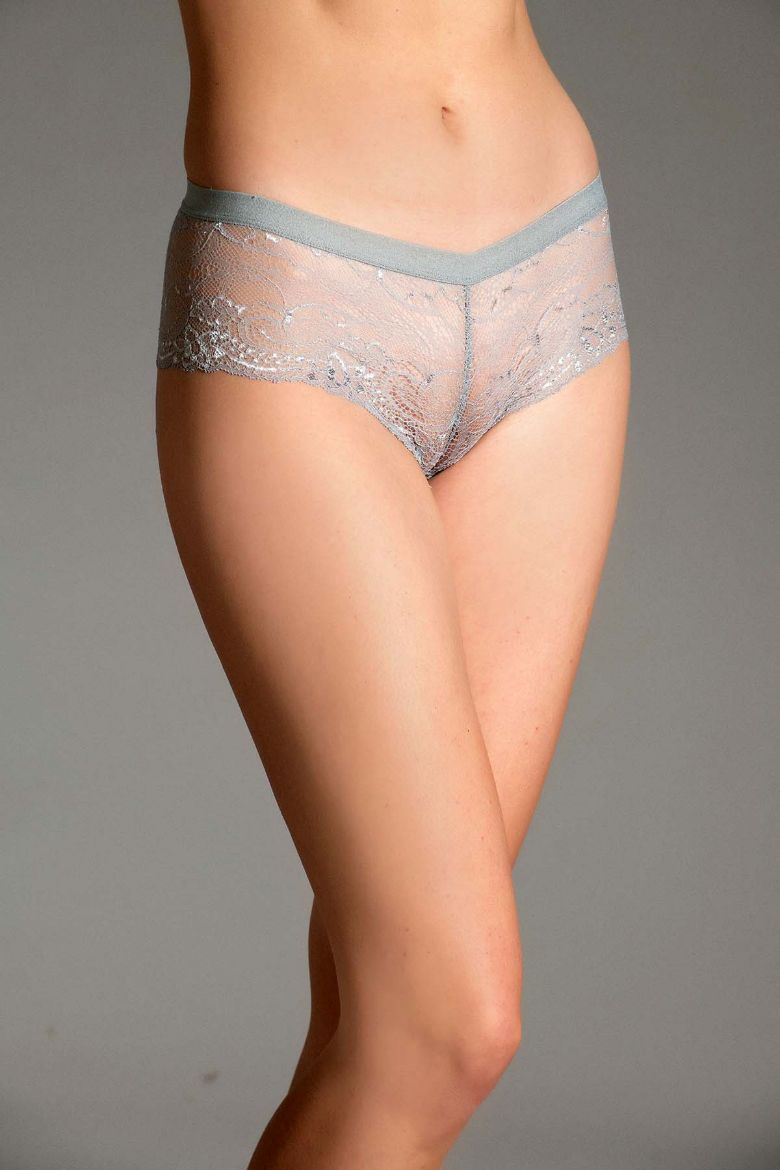 New Bra Brazilian Külot 9029 Gri resmi