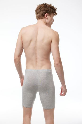 Malabadi Uzun Paçalı Modal Boxer 018 Gri resmi