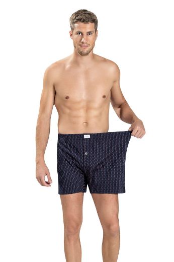 Jiber Pamuklu Büyük Beden Boxer 184 Asorti resmi